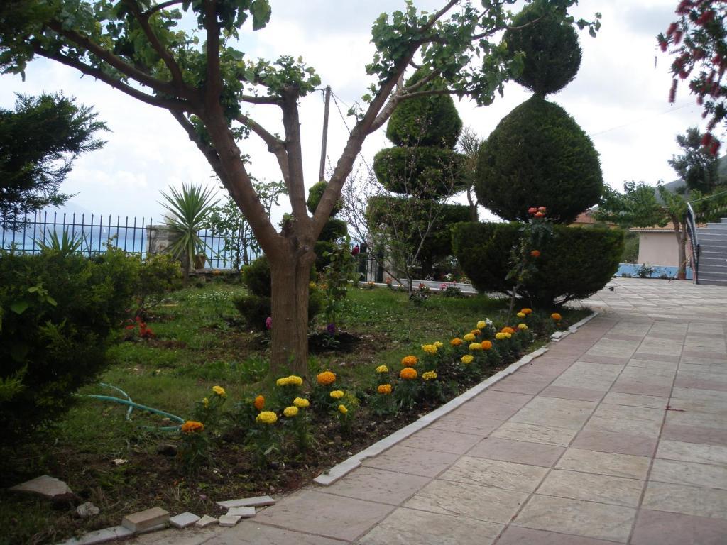 Katerina Lefkada 3* Vasiliki (Lefkada)
