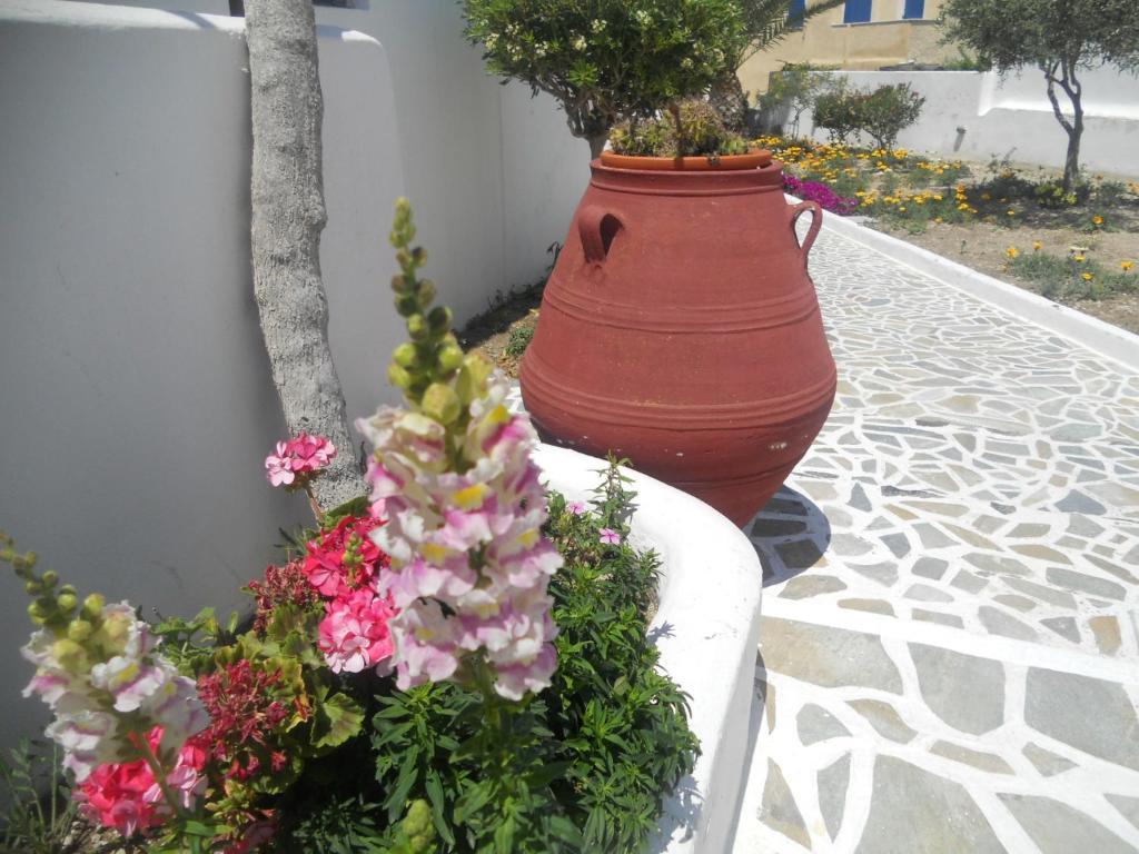 Ostria Kamari (Santorini)