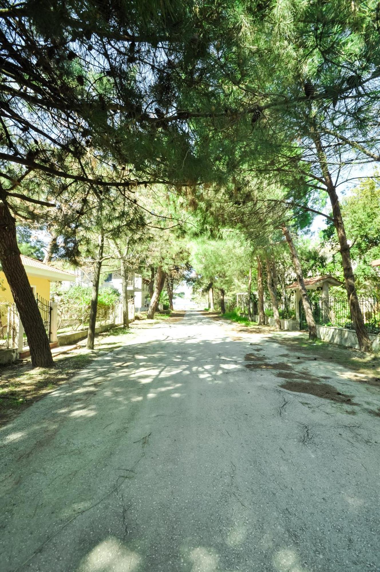 Vlachogiannis Hotel Prinos (Thasos)