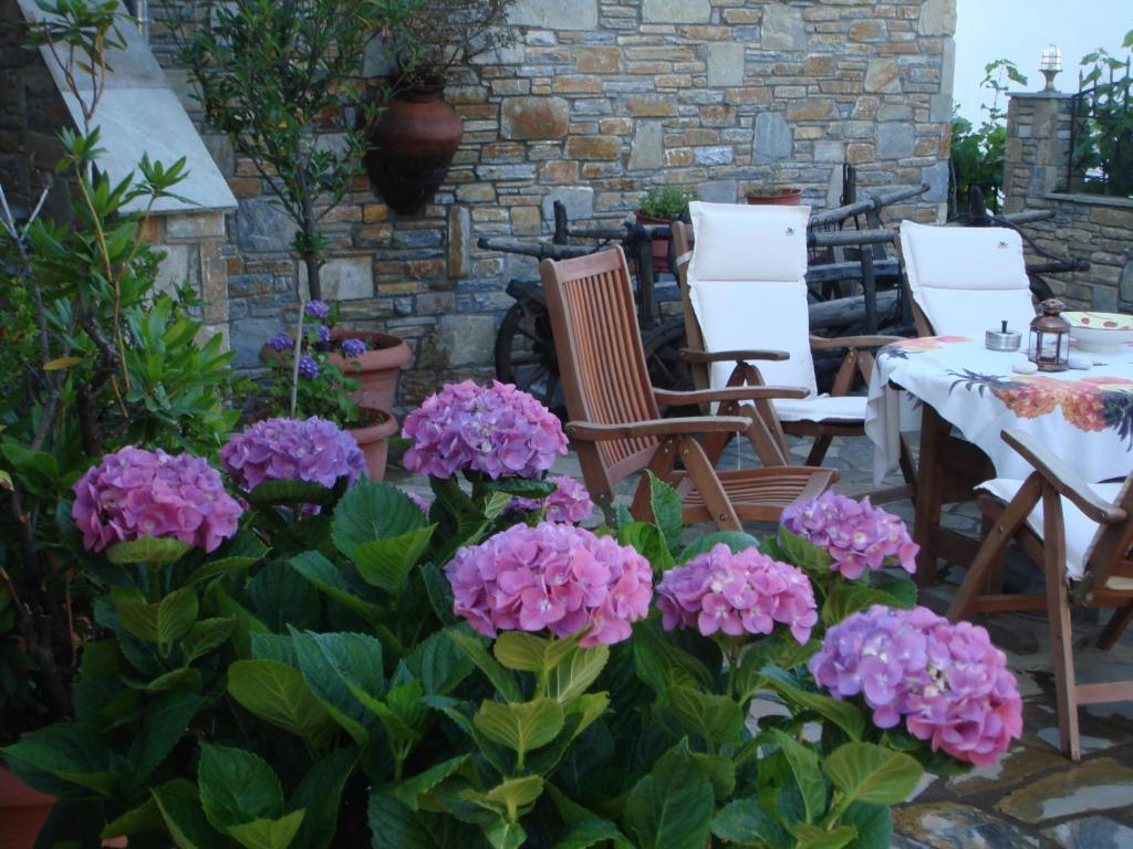Muses Guest house