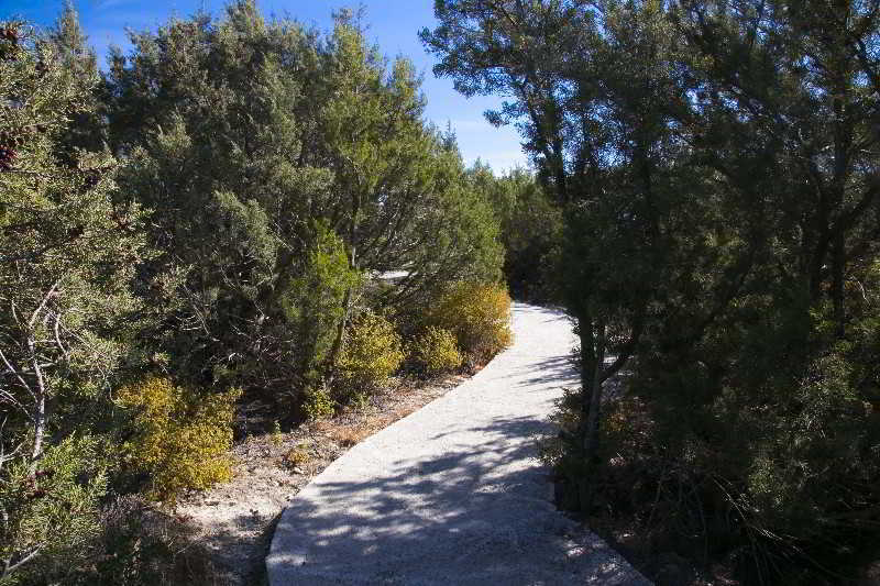 Ekaterini 3*