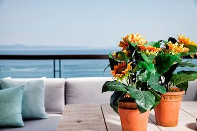 Hotel Rigas Boutique &