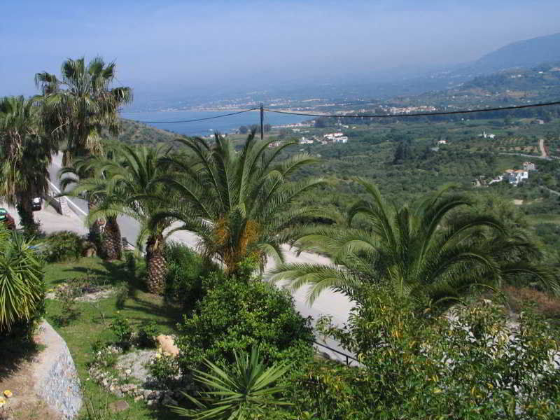 Alkion * Exopoli