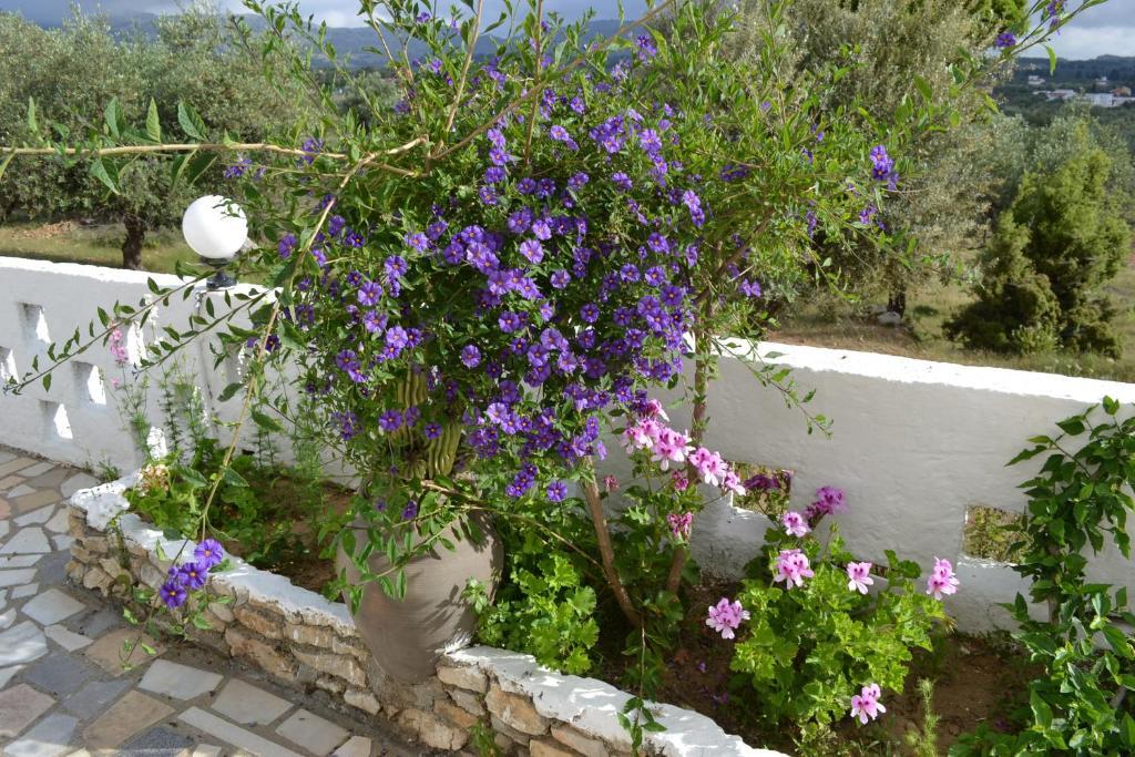 Karavos Aparthotel
