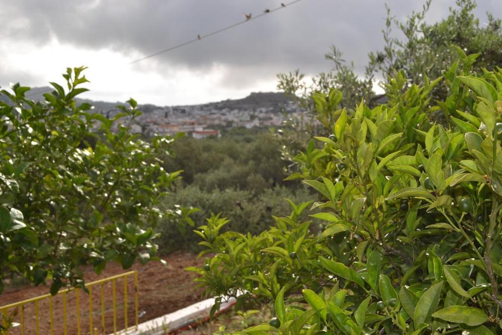Karavos Aparthotel 2*