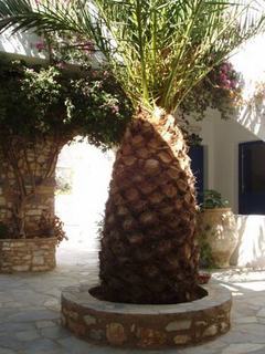Mrs. Armelina By Mr&mrs White Guest house