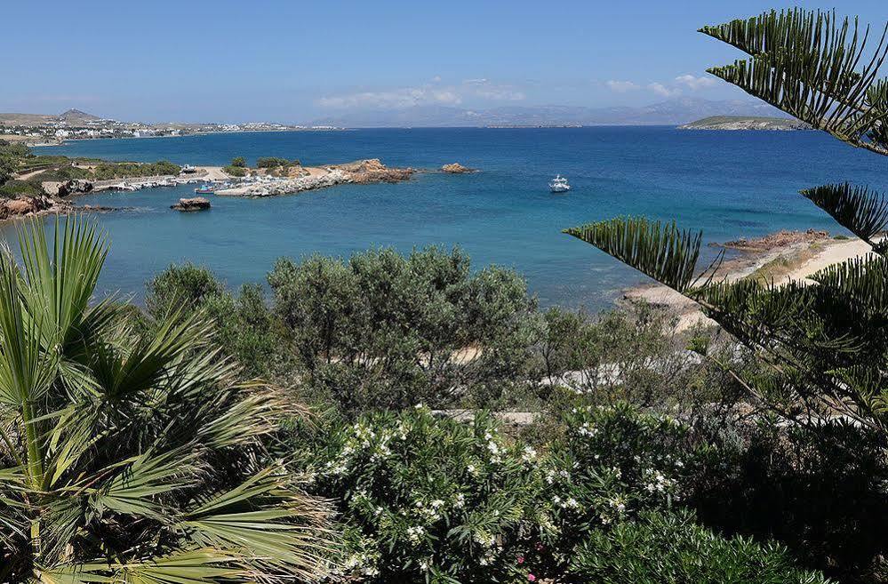 Martineli - A Beachfront Estate Villa *