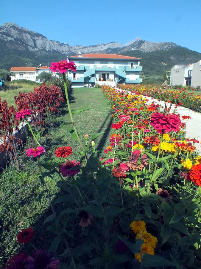 Zeus Aparthotel *