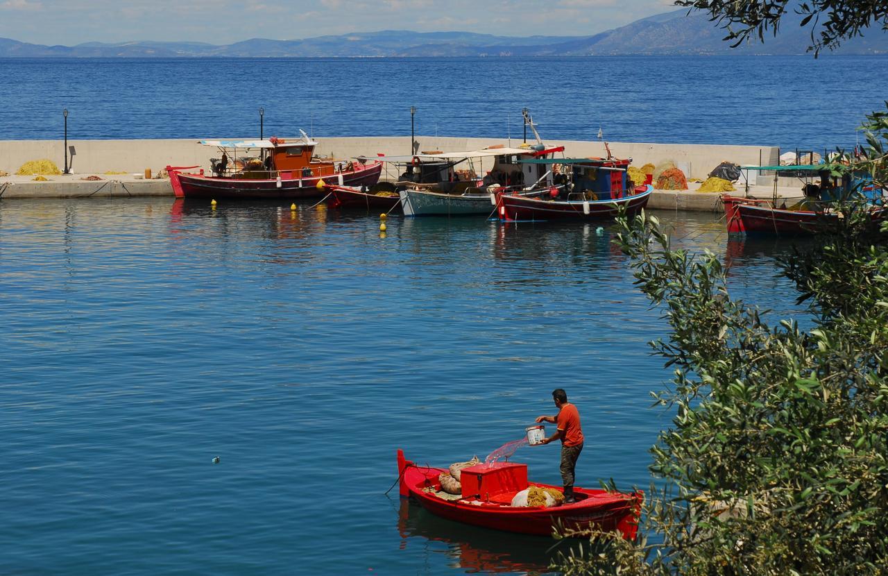 Inn Athina-milina *