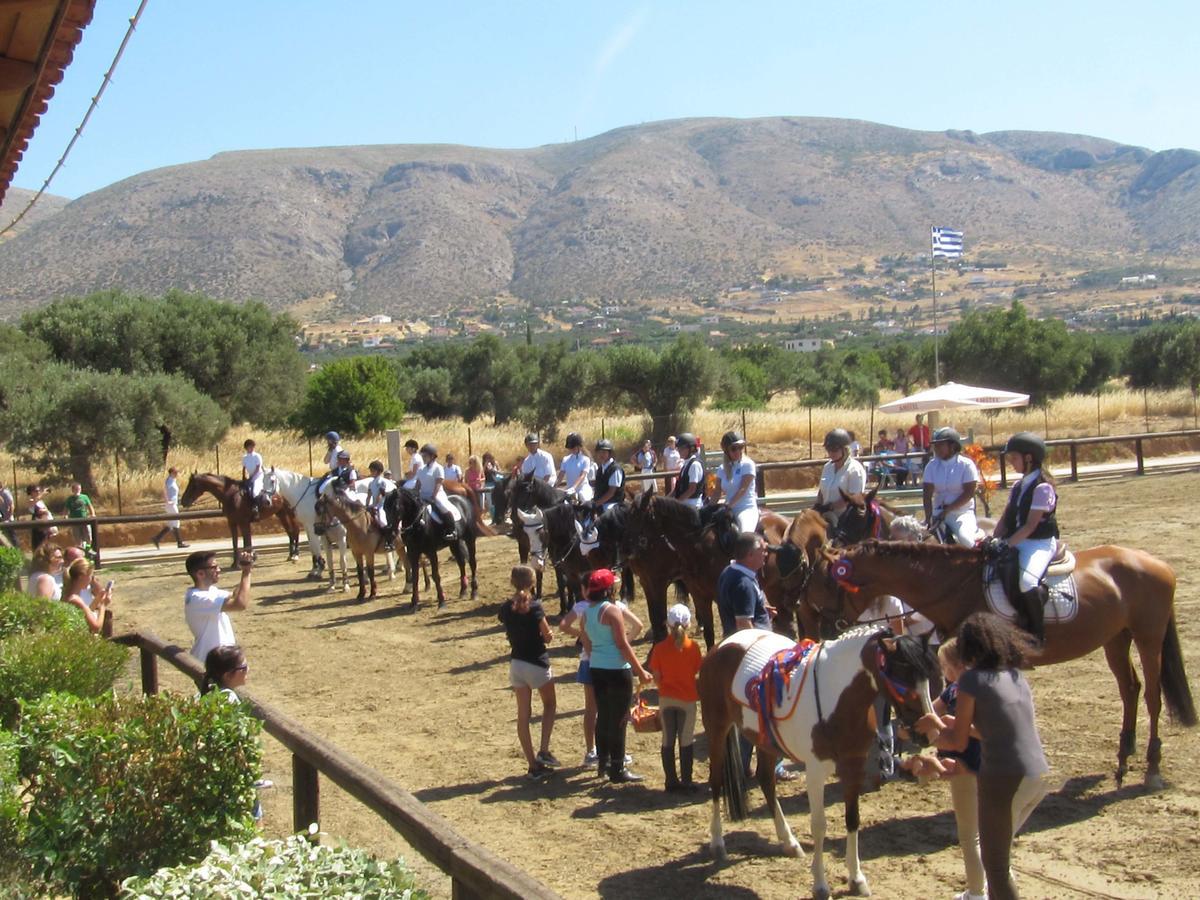 Bed & Breakfast Angelina's Palaia Fokaia