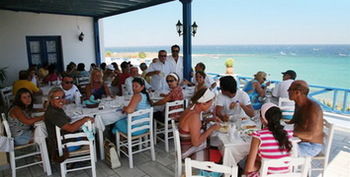 Hotel Paros Blue Dolphin