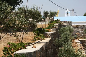 Paros Blue Dolphin Hotel