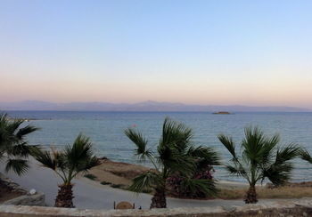 Paros Blue Dolphin 2* Chrisi Akti (Paros)