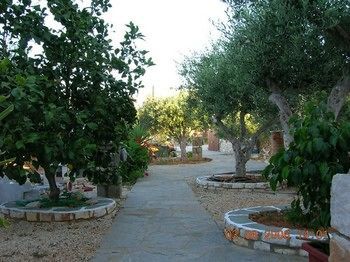 Sunset And For Adults Over 21 Only Naousa (Paros)
