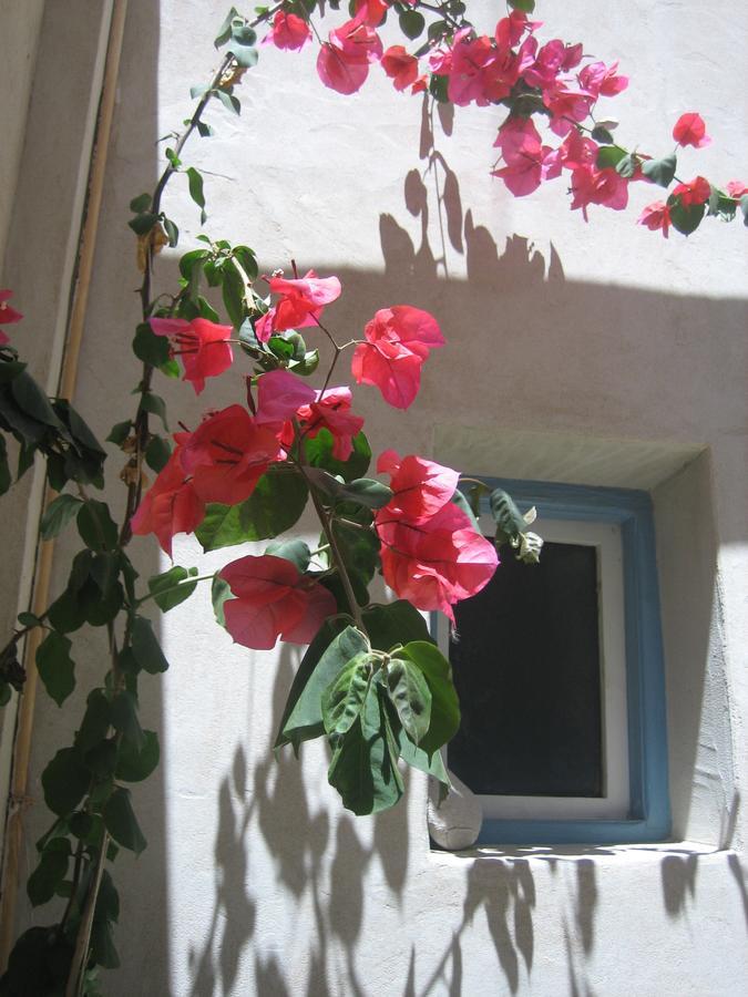 Anemomilos * Astypalaia