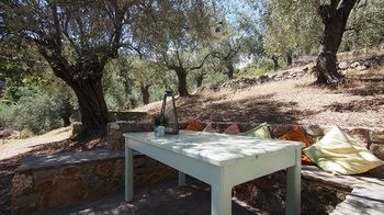 Lithea * Patitiri (Alonnisos)