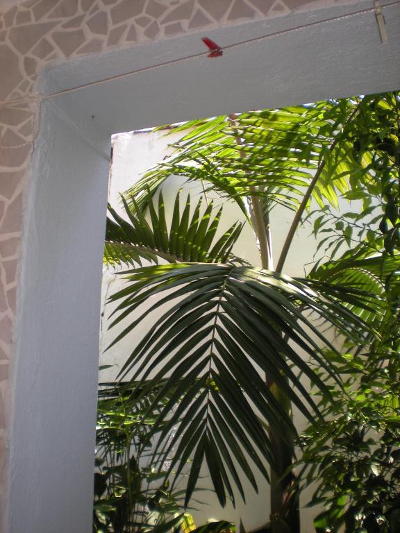 Aparthotel Manolis' House