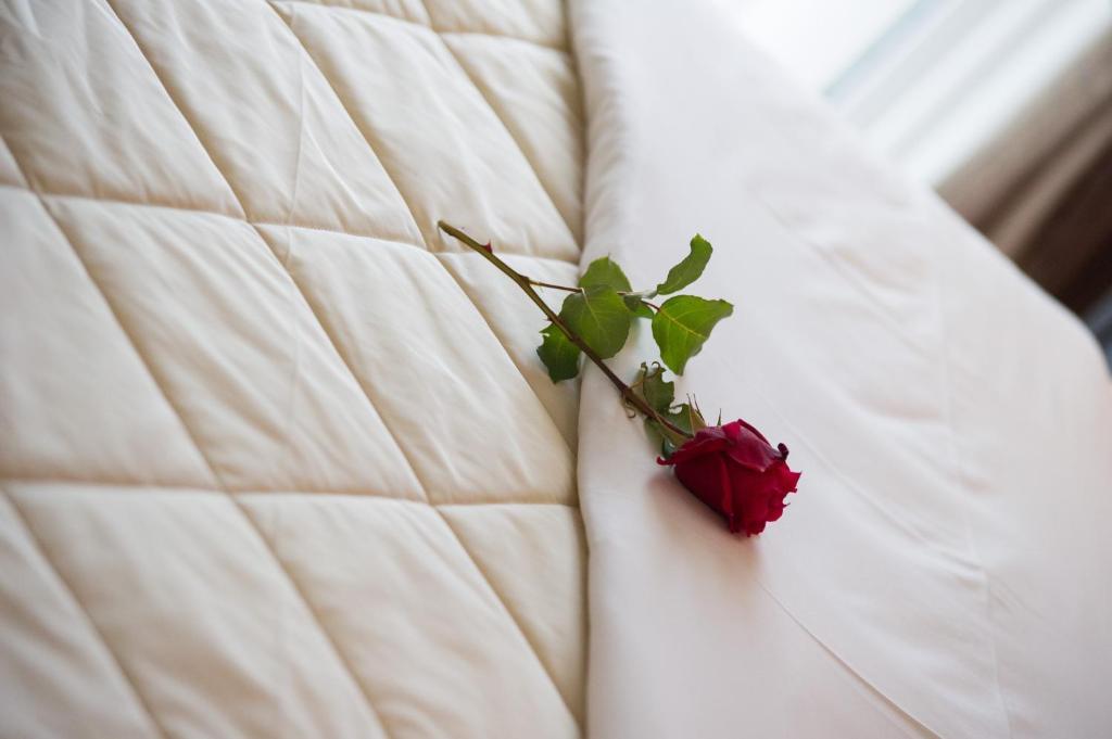 Dorita Luxury Apartment