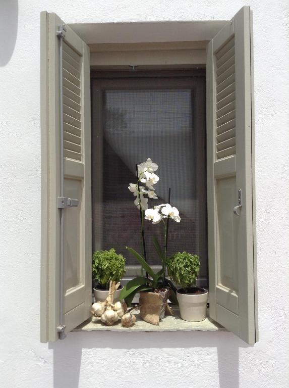 Aliktypo Apartment Livadi (Serifos)