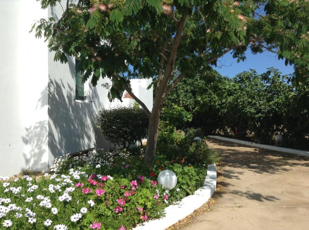 Hotel Astir Of Naxos Naxos City
