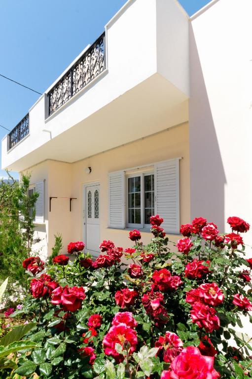 Apartment Golden Star