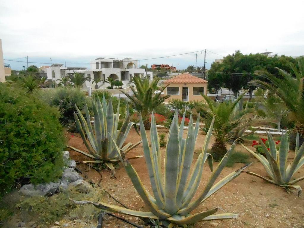 Nanakis Stavros (Crete)