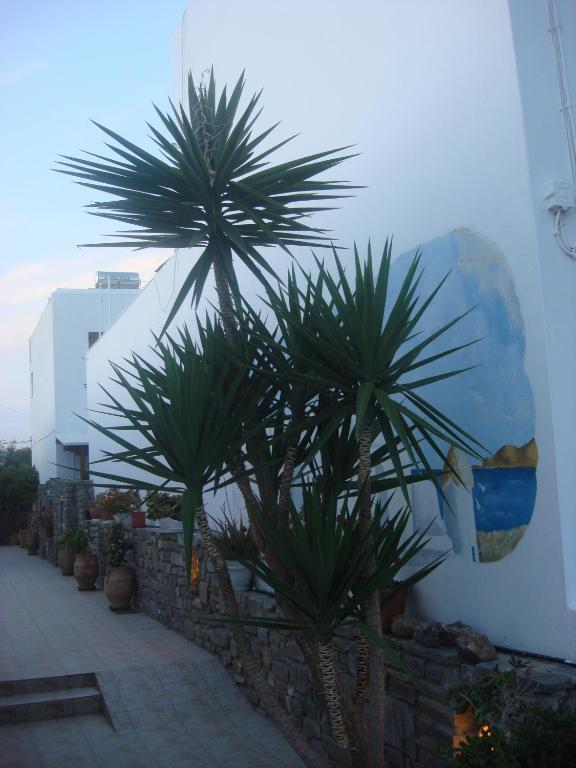 Guest house Joseph Parikia (Paros)
