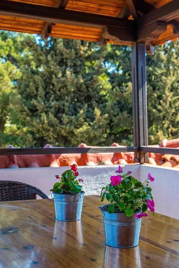 Georgalas Sun Bed & Breakfast Nea Kallikrateia