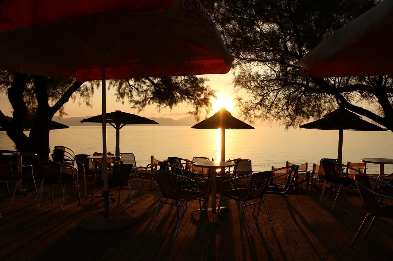 Delfinario Hotel *