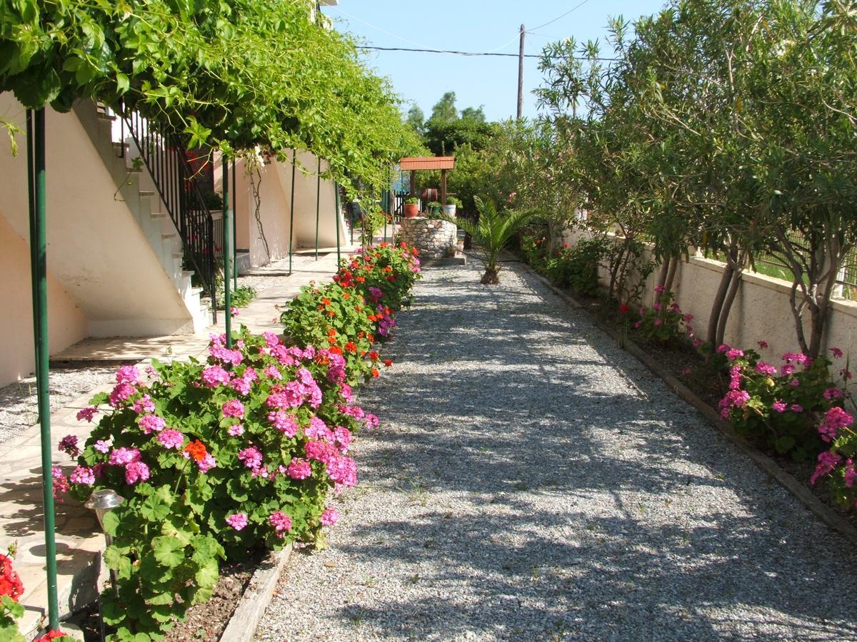 Economy hotel Maritsa *