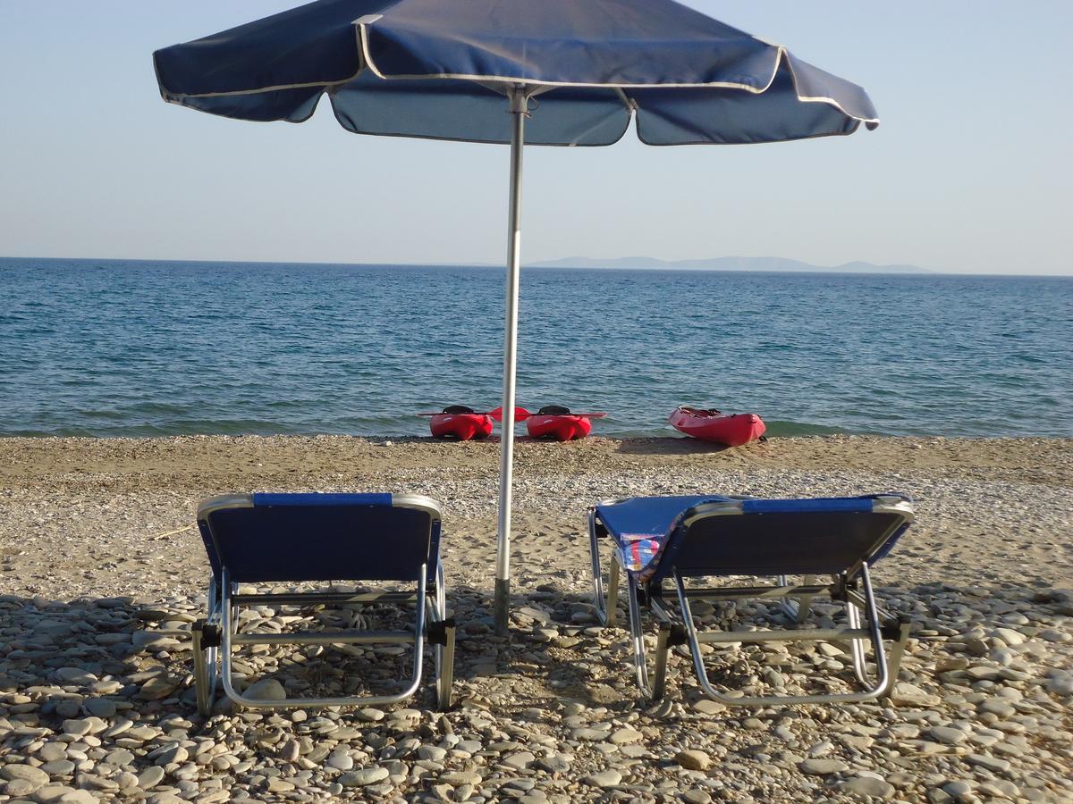 Economy hotel Maritsa *