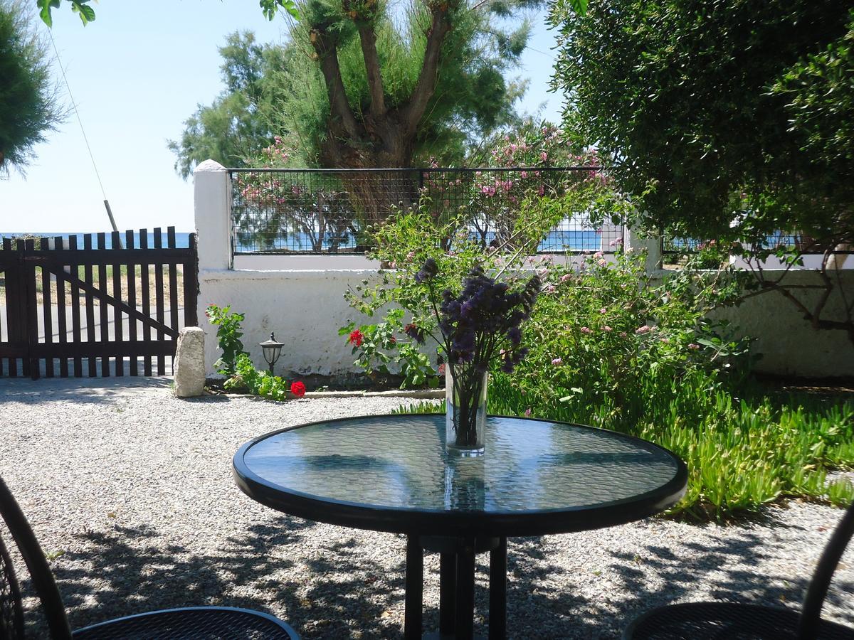Economy hotel Maritsa *