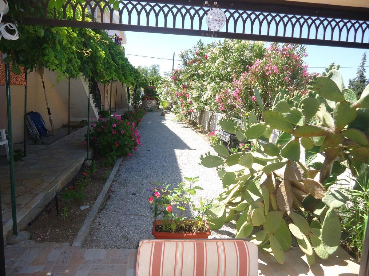 Economy hotel Maritsa *