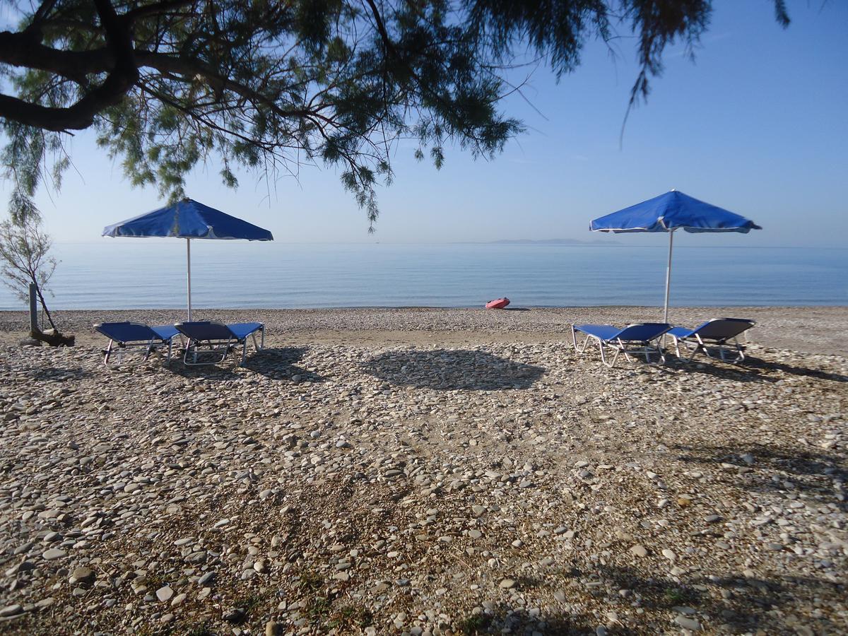 Economy hotel Maritsa *