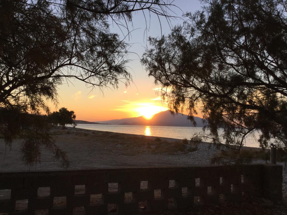 Economy hotel Maritsa *