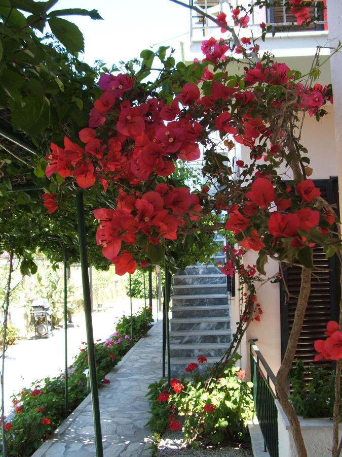 Economy hotel Maritsa *