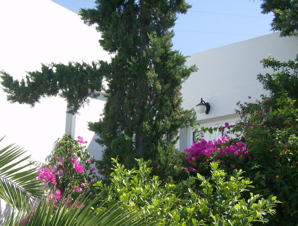 Hotel Mare Blue 5*