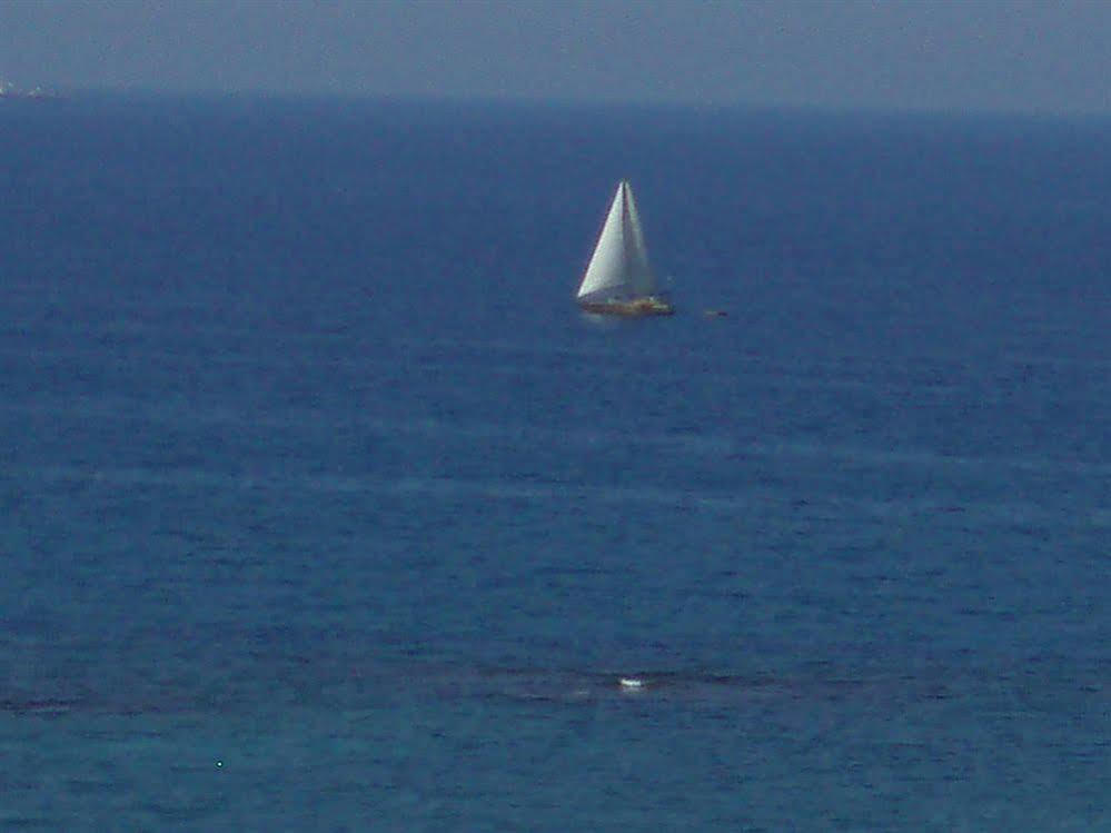 Memories * Stalida