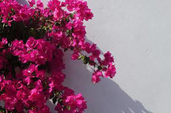 Donoussa Rooms 3* Donoussa