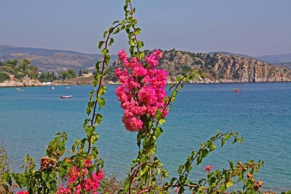 Aparthotel Poseidon 2*