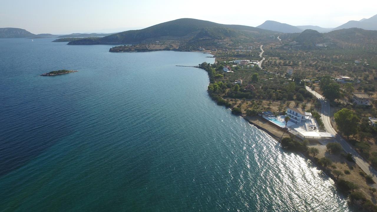 Hotel Dardiza Boutique *