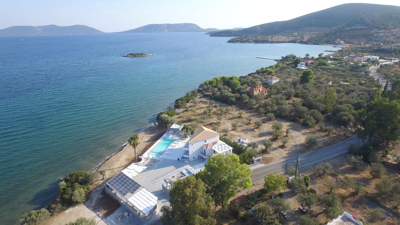 Hotel Dardiza Boutique *