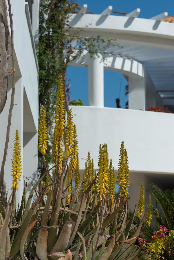 Hotel Bitzaro Grande & 3*