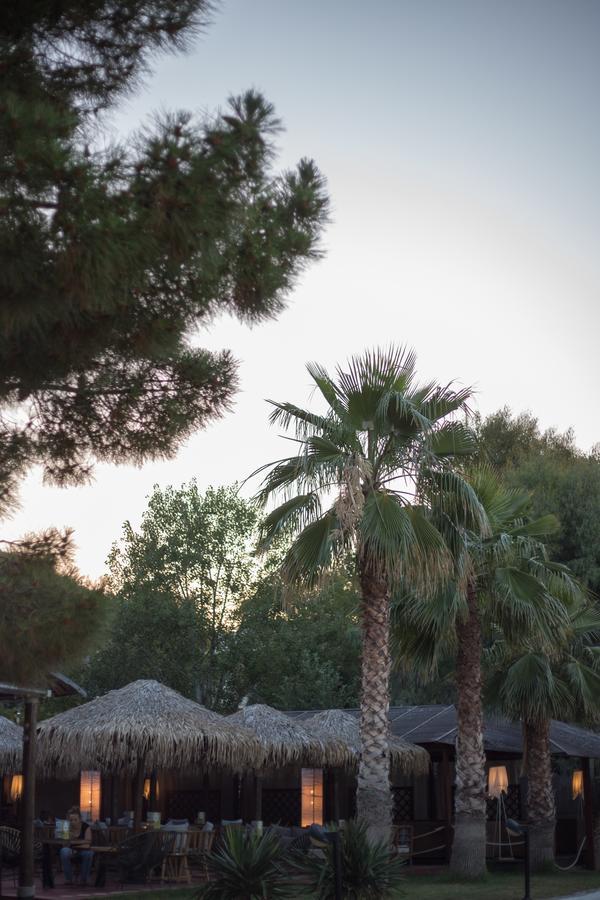 Hellas 2*