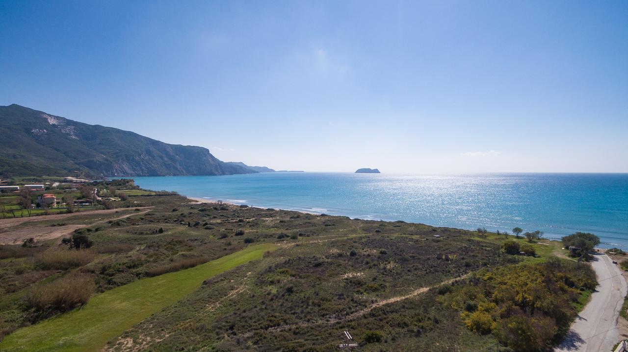 Iguana * Kalamaki (Zakynthos)