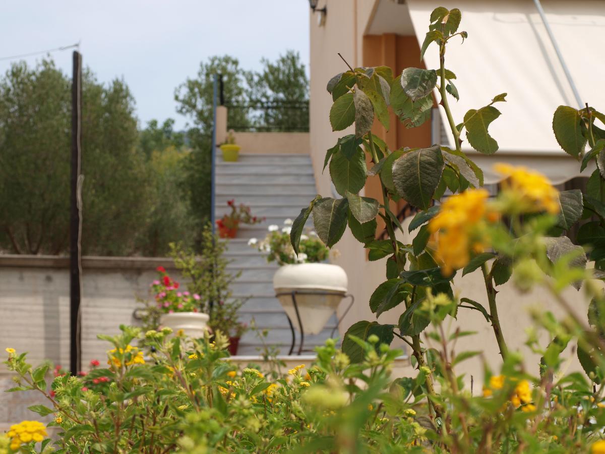 Apartment Aristotelis *