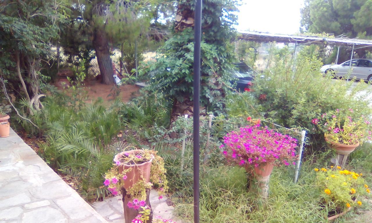 Alexandros Apartment Nea Poteidaia