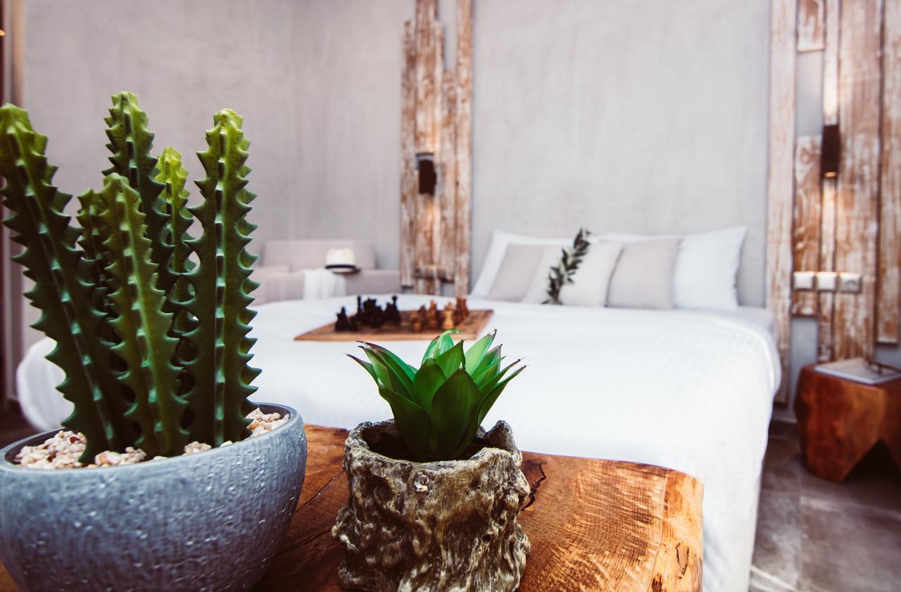 Olea House