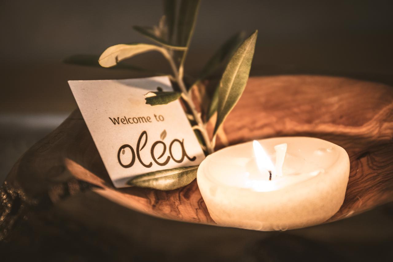 Olea House Apartment Limenaria (Thasos)
