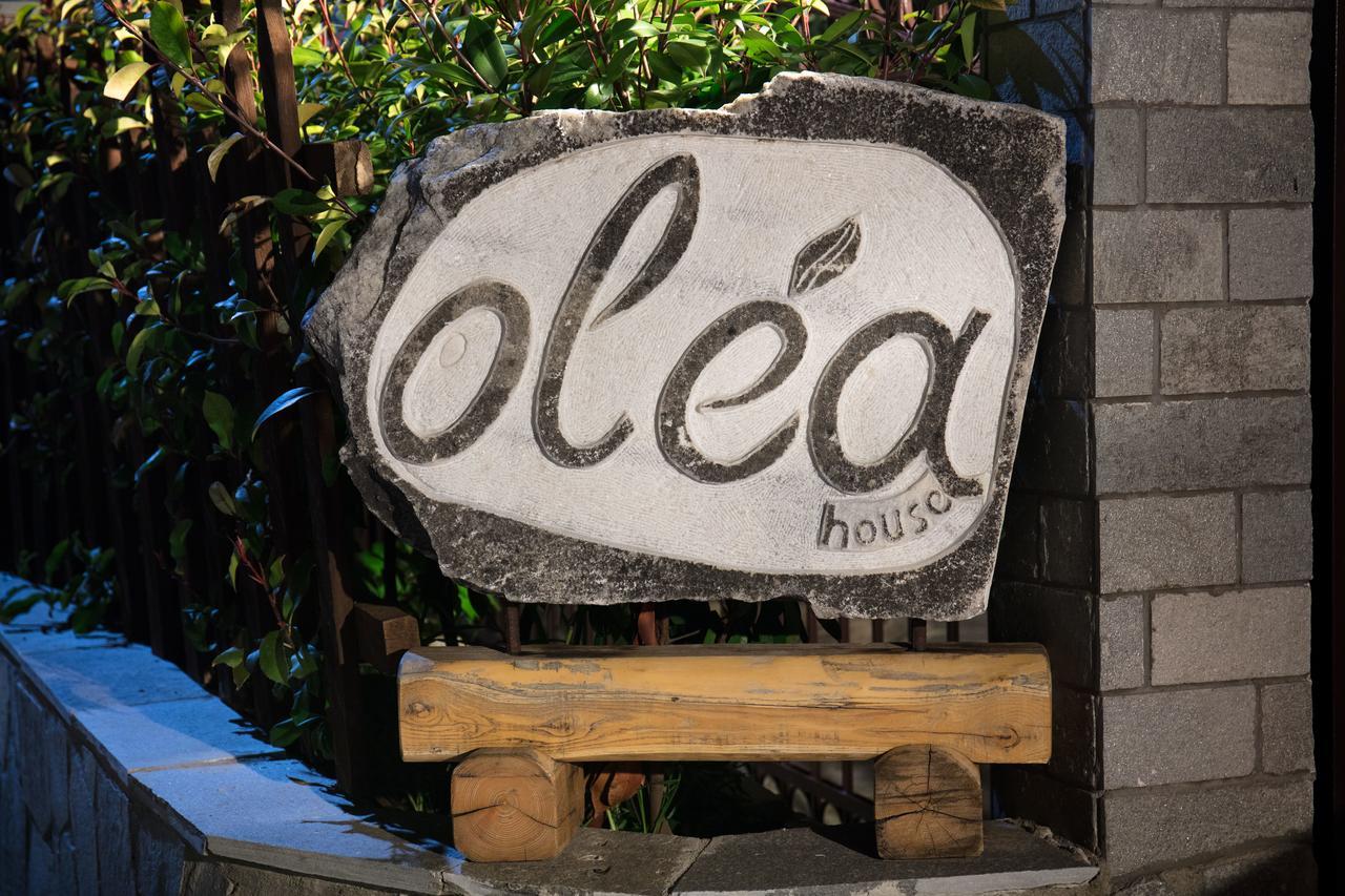 Olea House Apartment